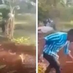 Alerte aux fausses ventes aux enchères : l&rsquo;OTR met en garde contre une nouvelle arnaque sur WhatsApp